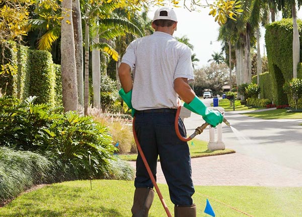 About Viburnum MO Pest Control